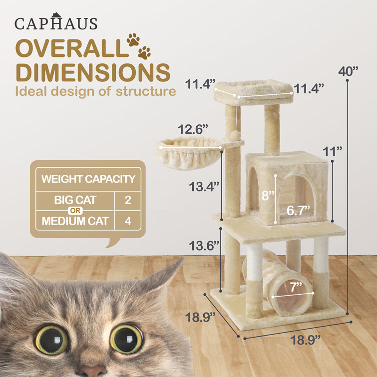 Caphaus Cat Tower For Indoor Cats Modern Cute 40 inch Small Cat